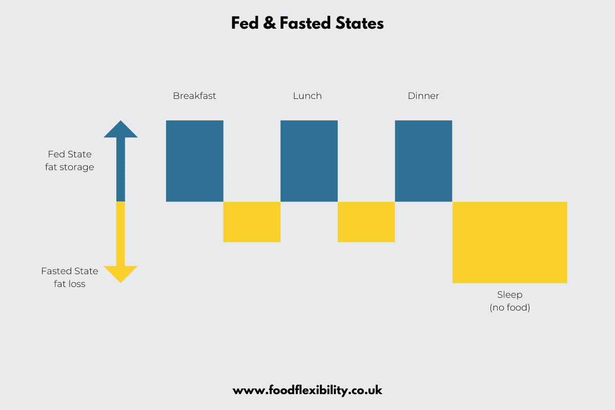 Insulin Fed v Fasted