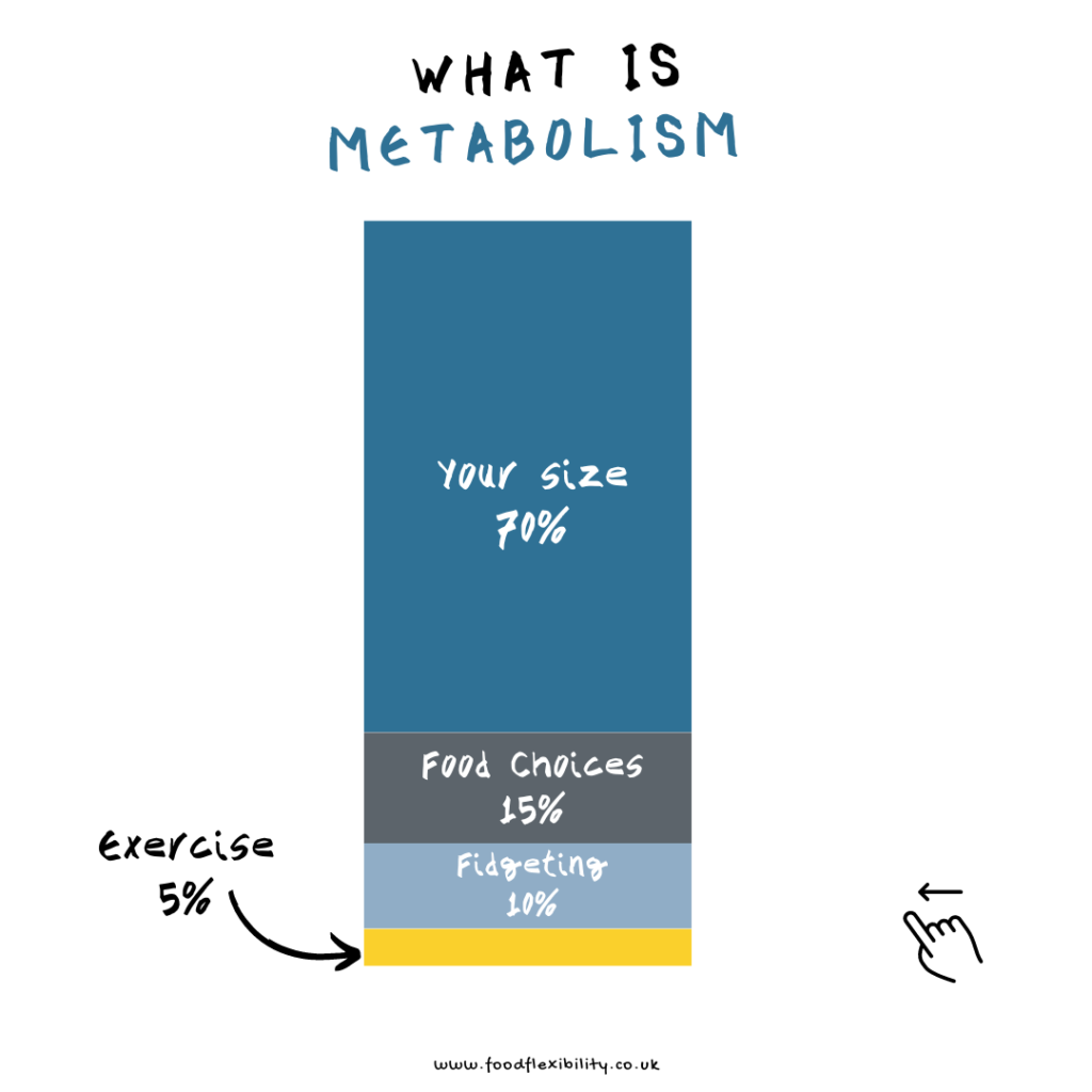 Graphic showing how metabolism relates to losing weight sustainably.